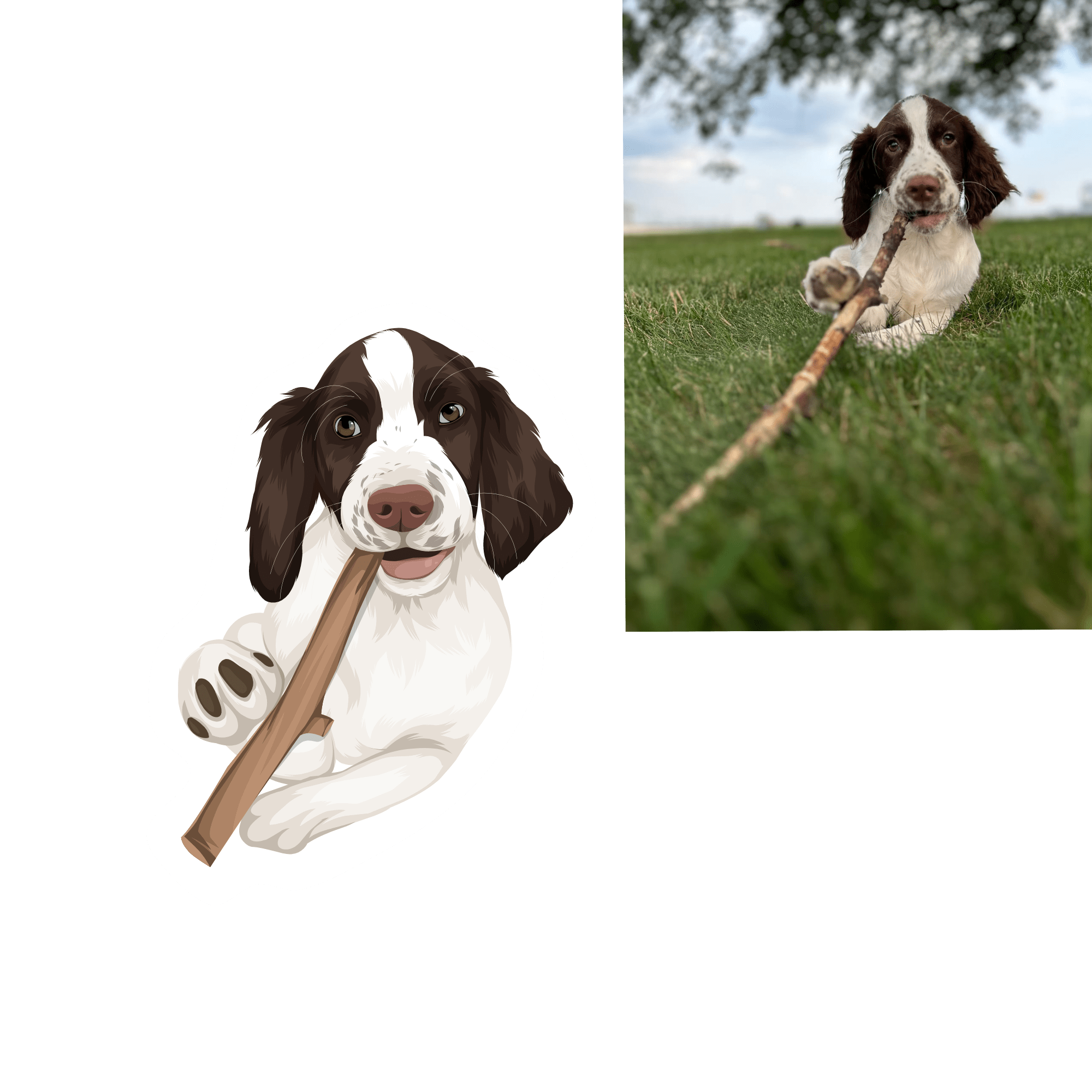 Full Colour Drawing - Image 13