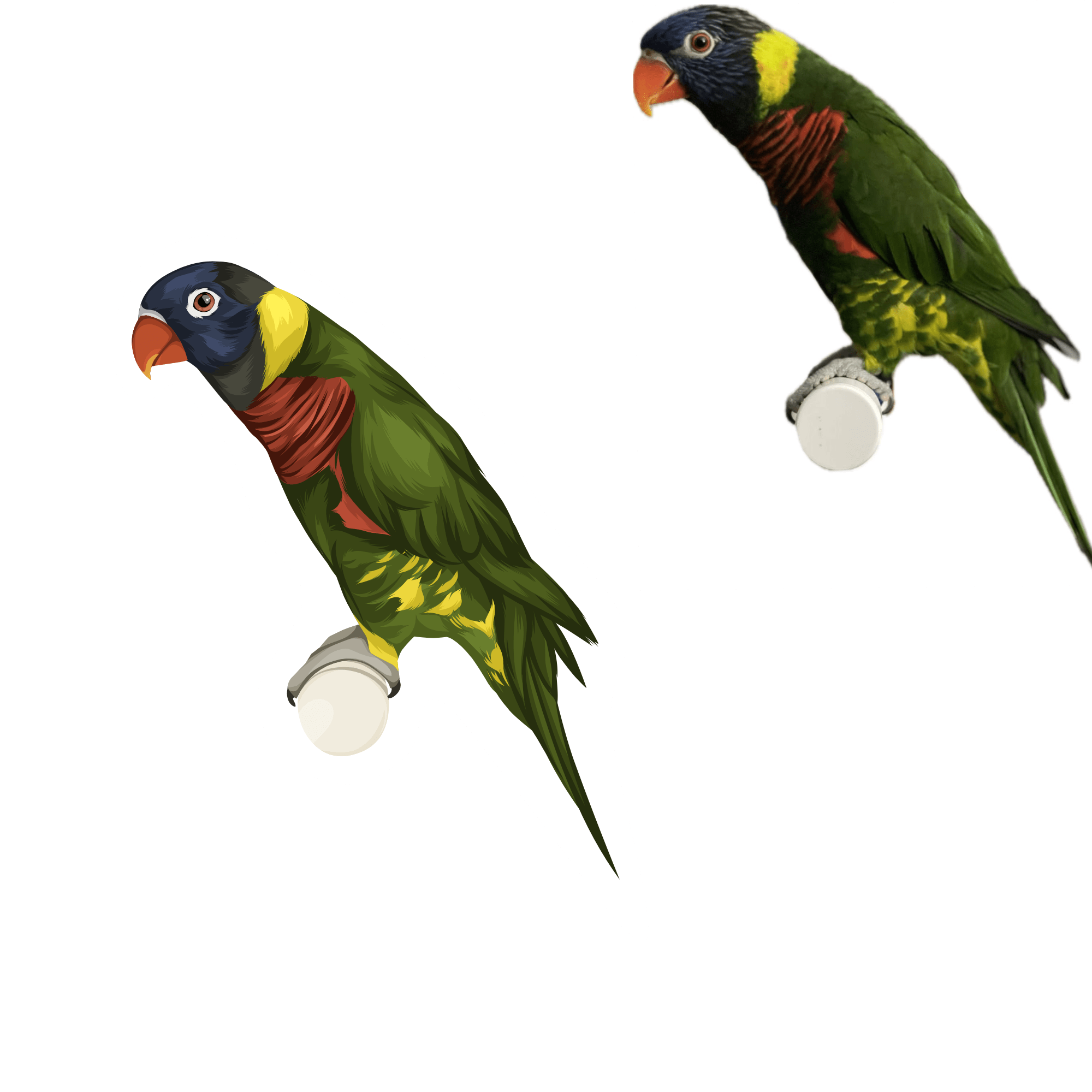 Full Colour Drawing - Image 12