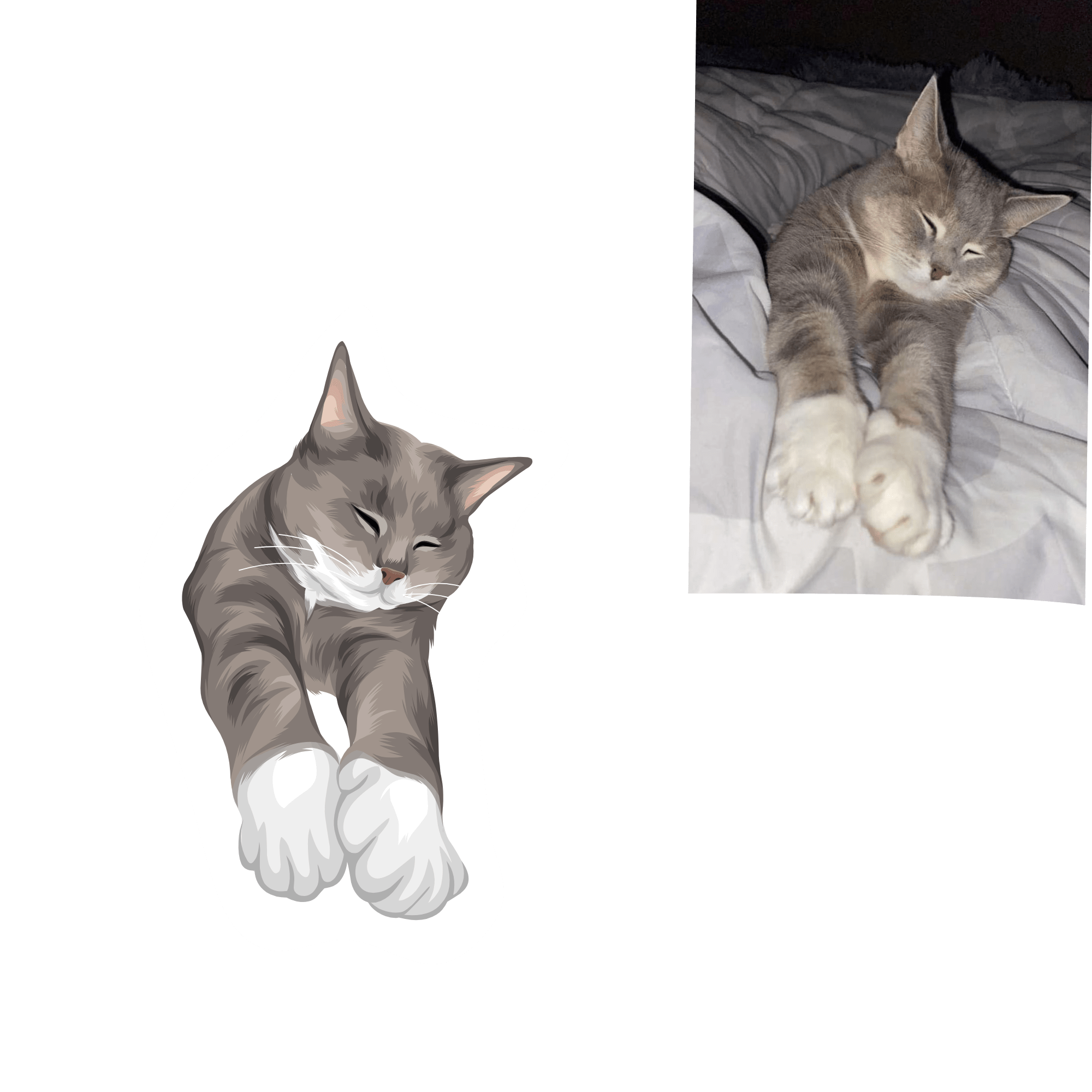 Full Colour Drawing - Image 8