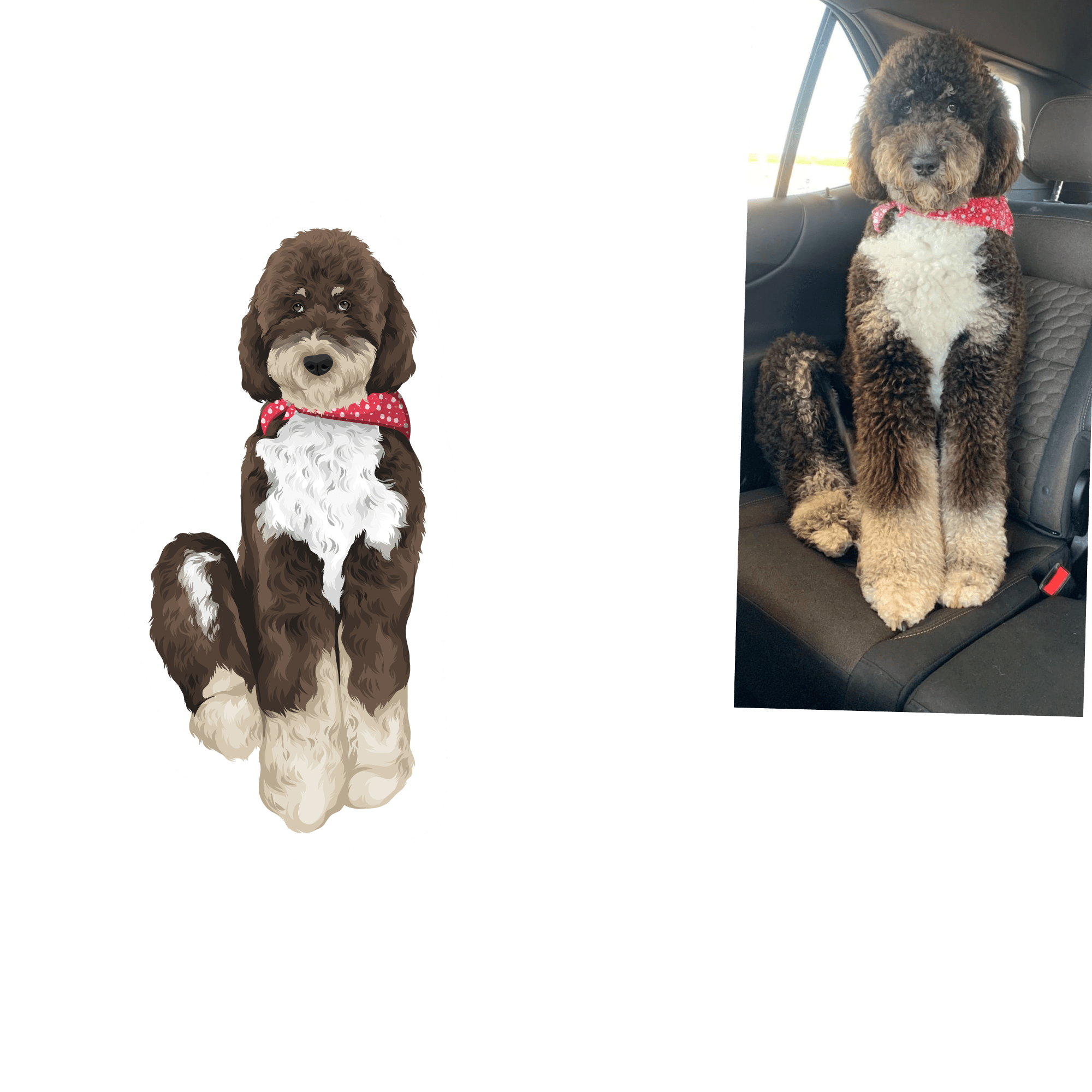 Full Colour Drawing - Image 6