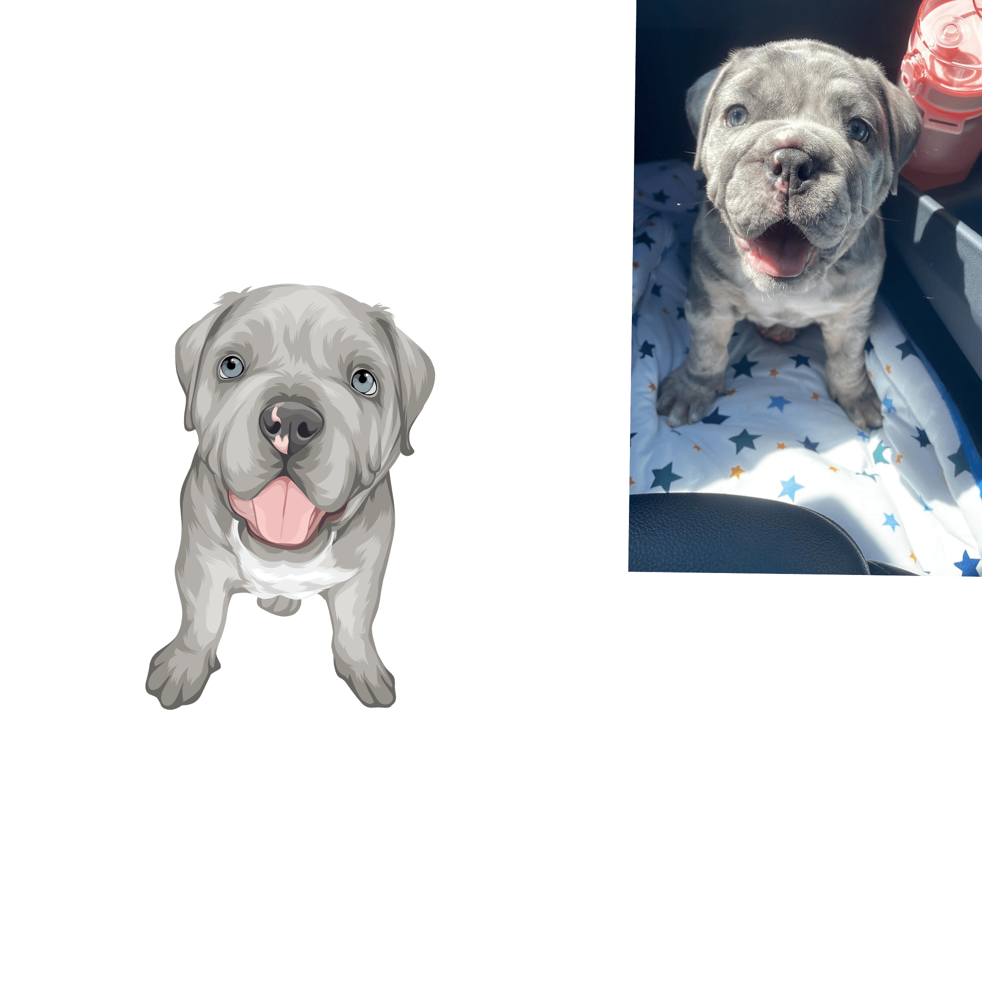 Full Colour Drawing - Image 5