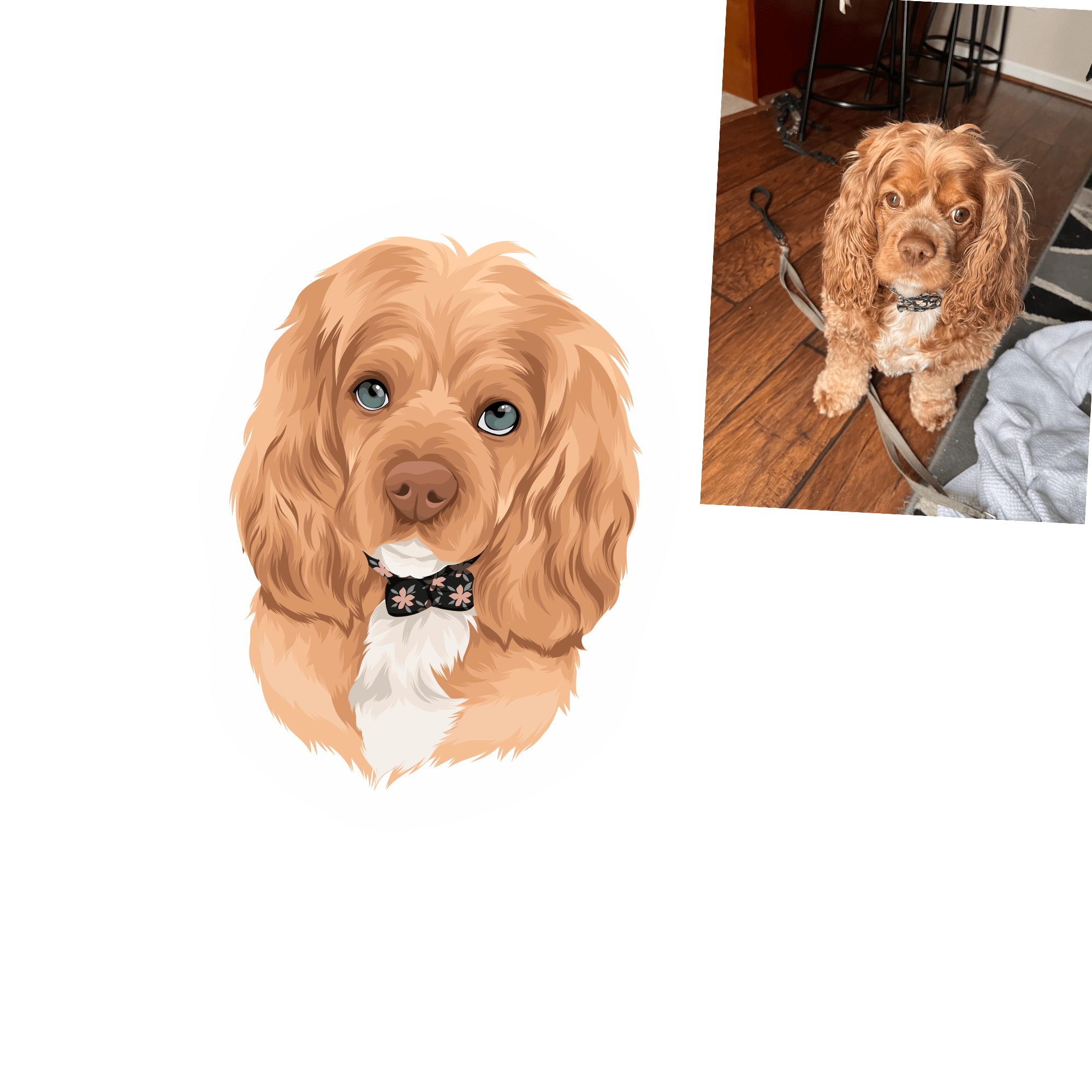 Full Colour Drawing - Image 4