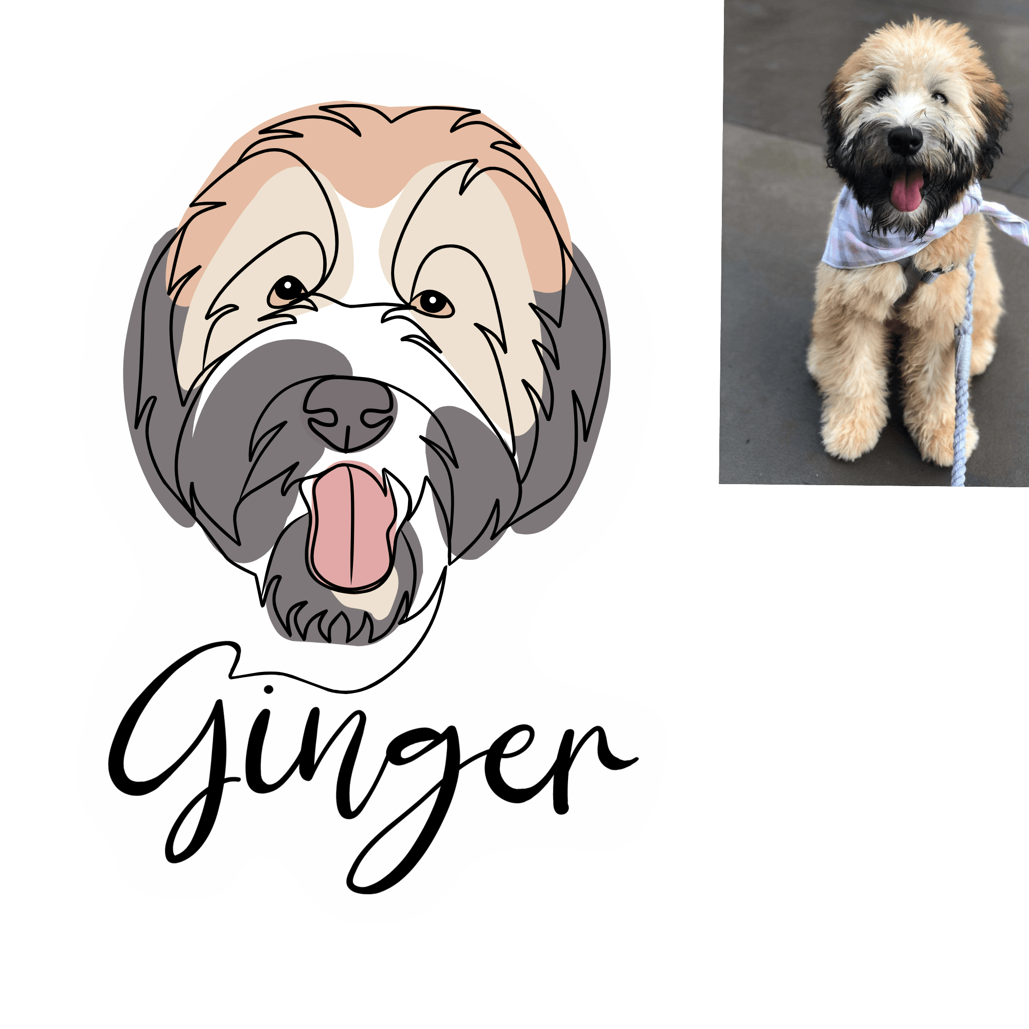 Colour Line Drawing - Image 6