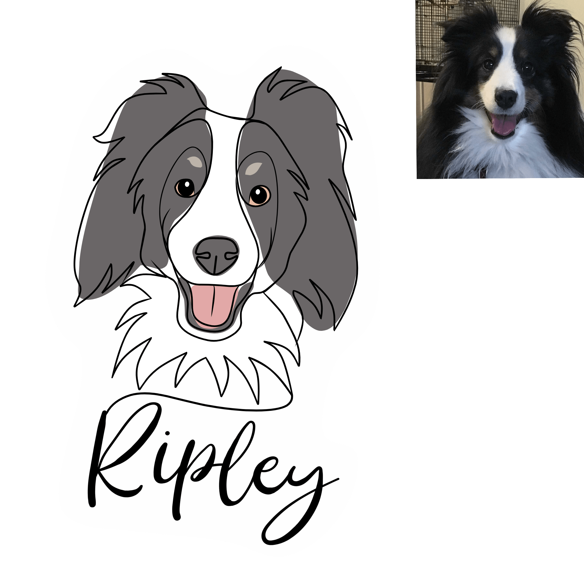 Colour Line Drawing - Image 5