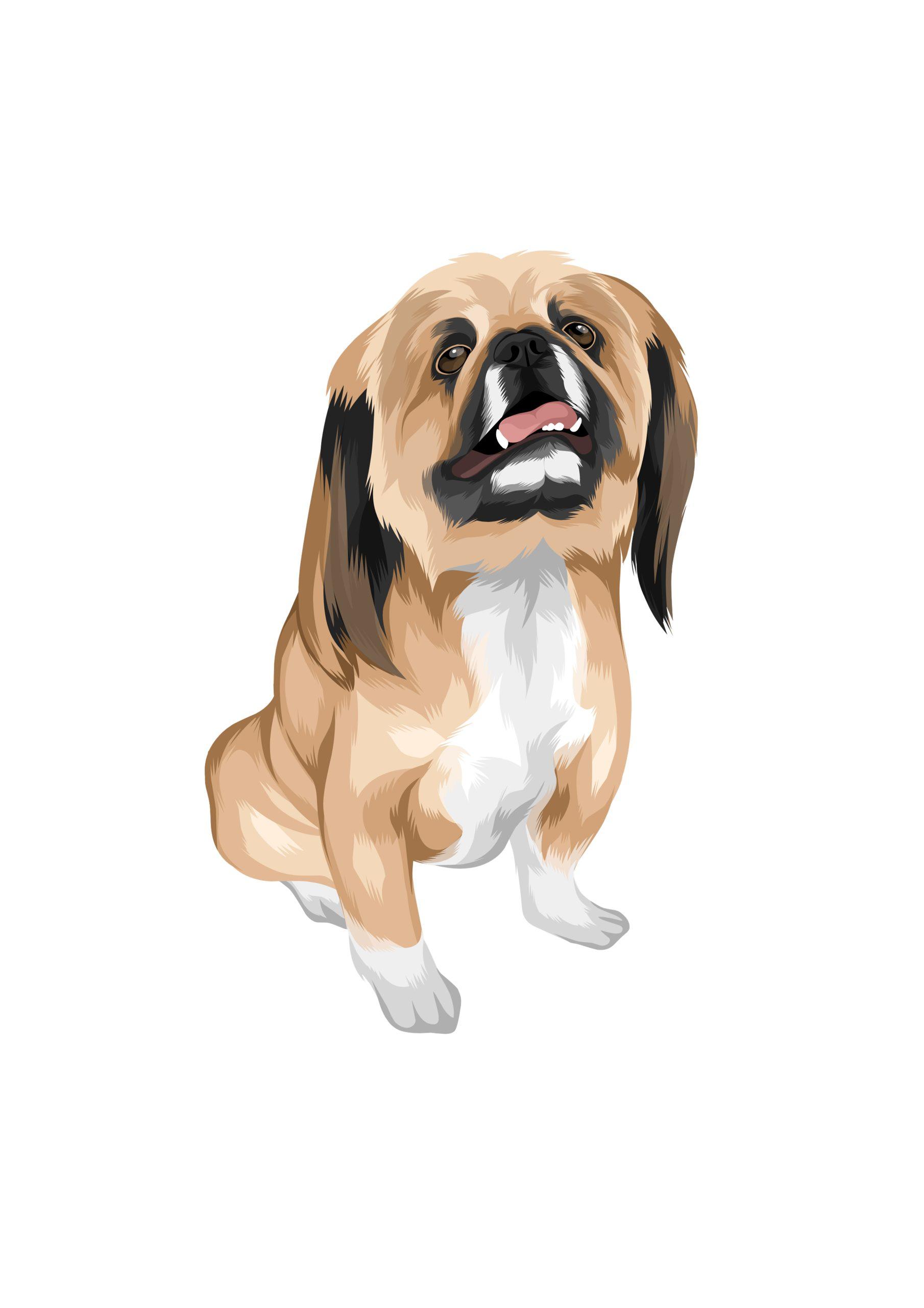 Full Colour Drawing - Image 18