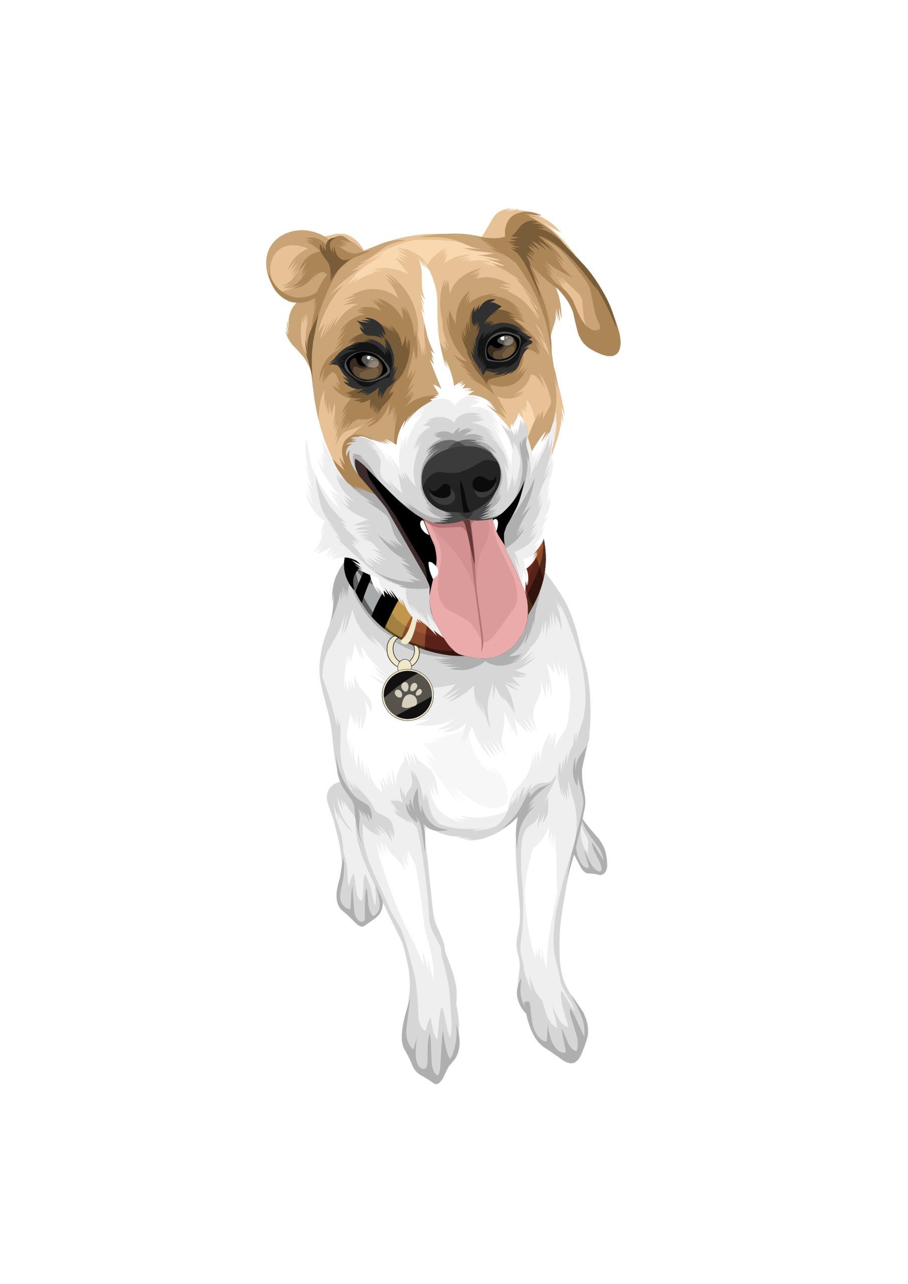 Full Colour Drawing - Image 17