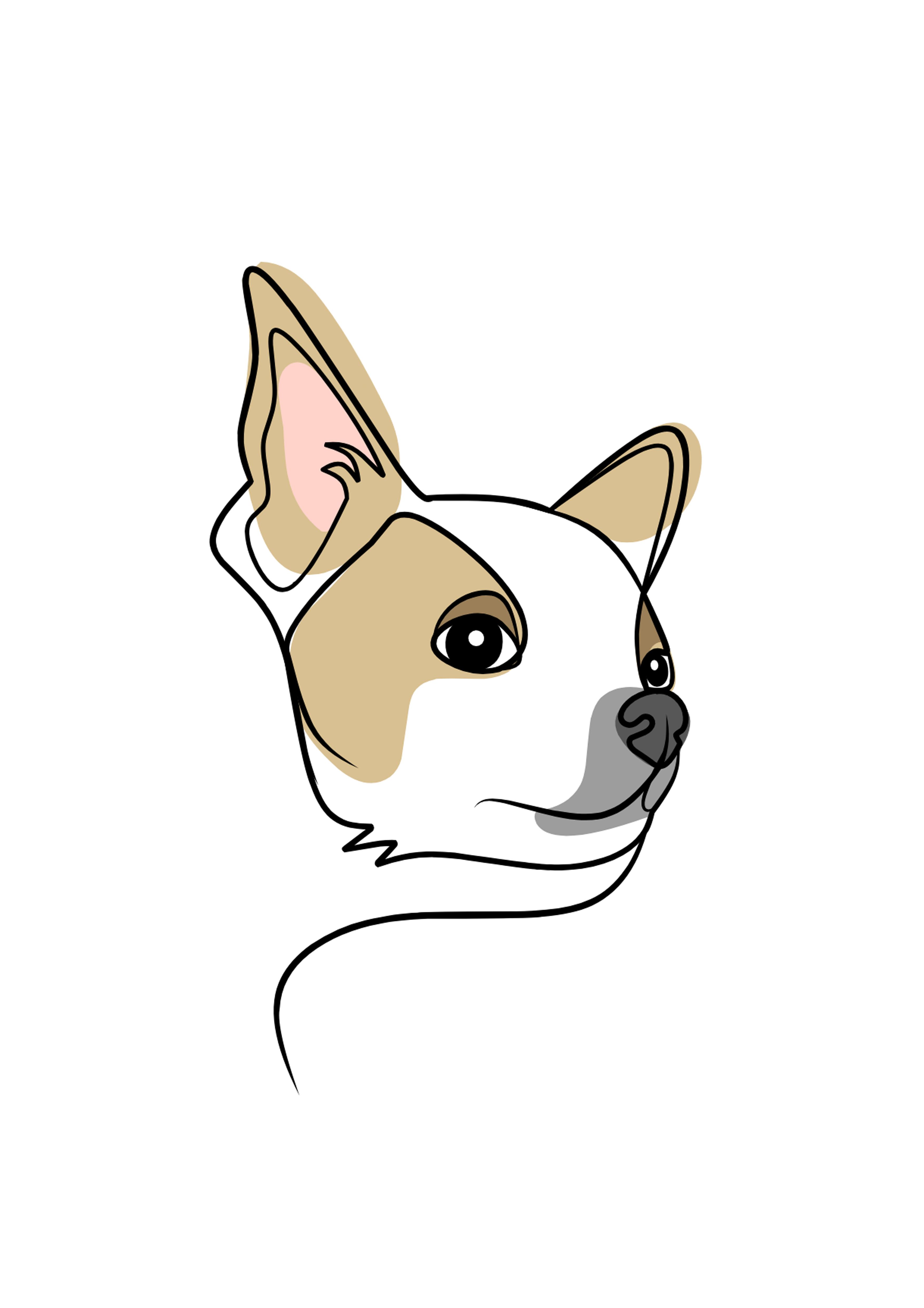 Colour Line Drawing - Image 14