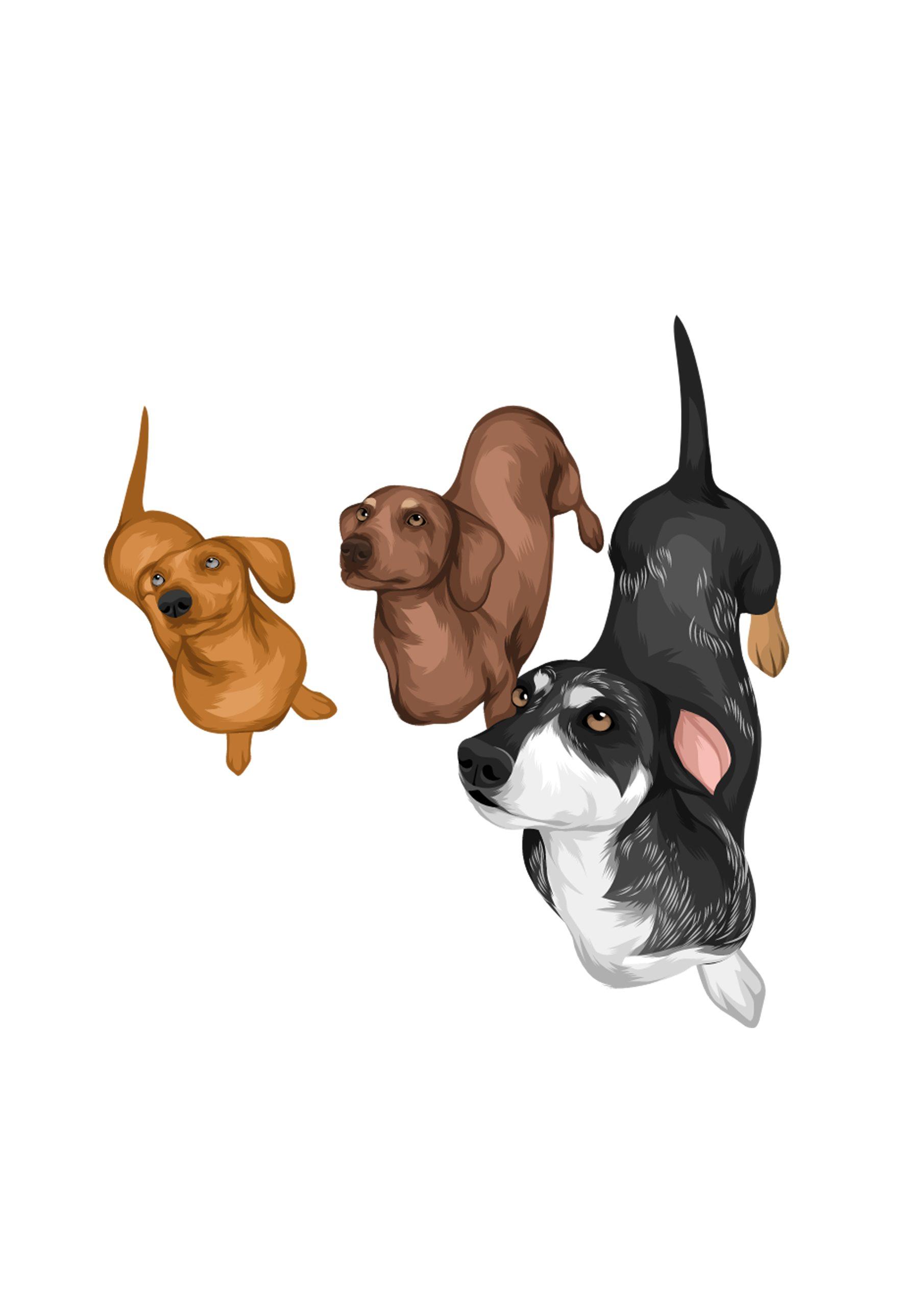 Full Colour Drawing - Image 16