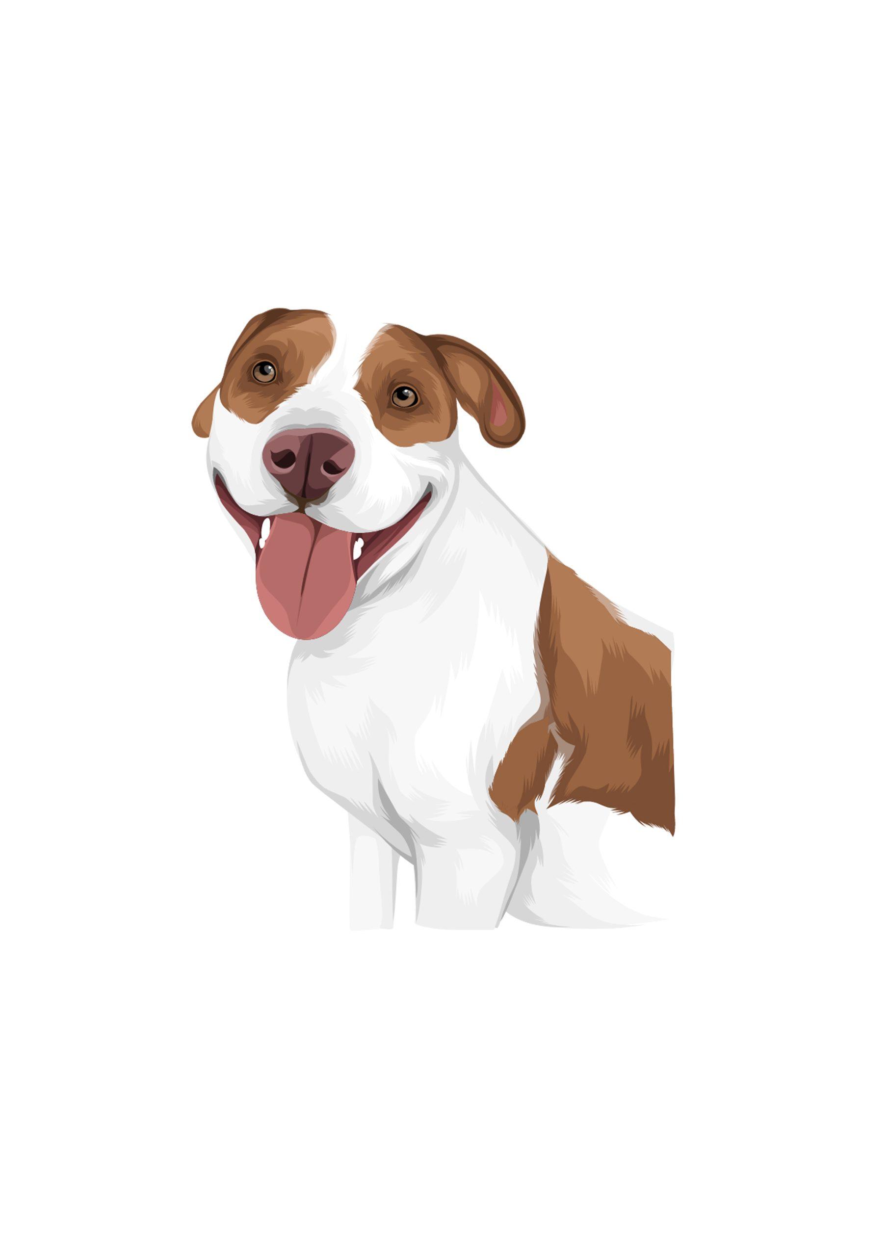 Full Colour Drawing - Image 15