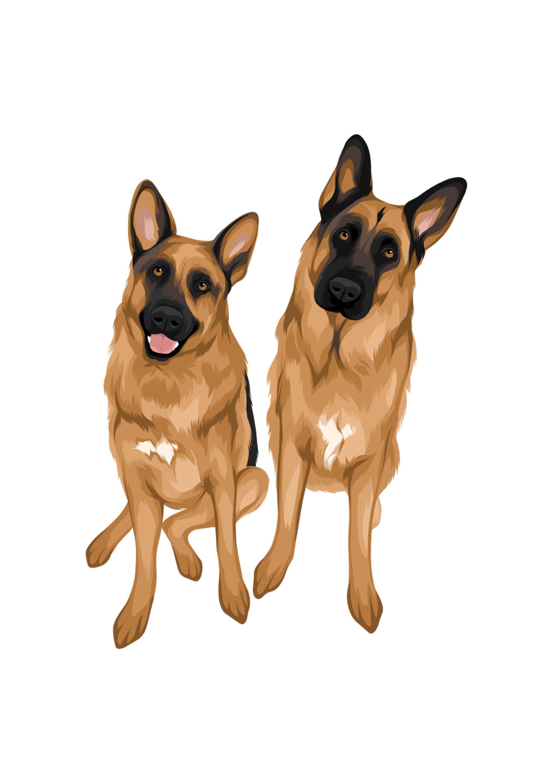 Full Colour Drawing - Image 10