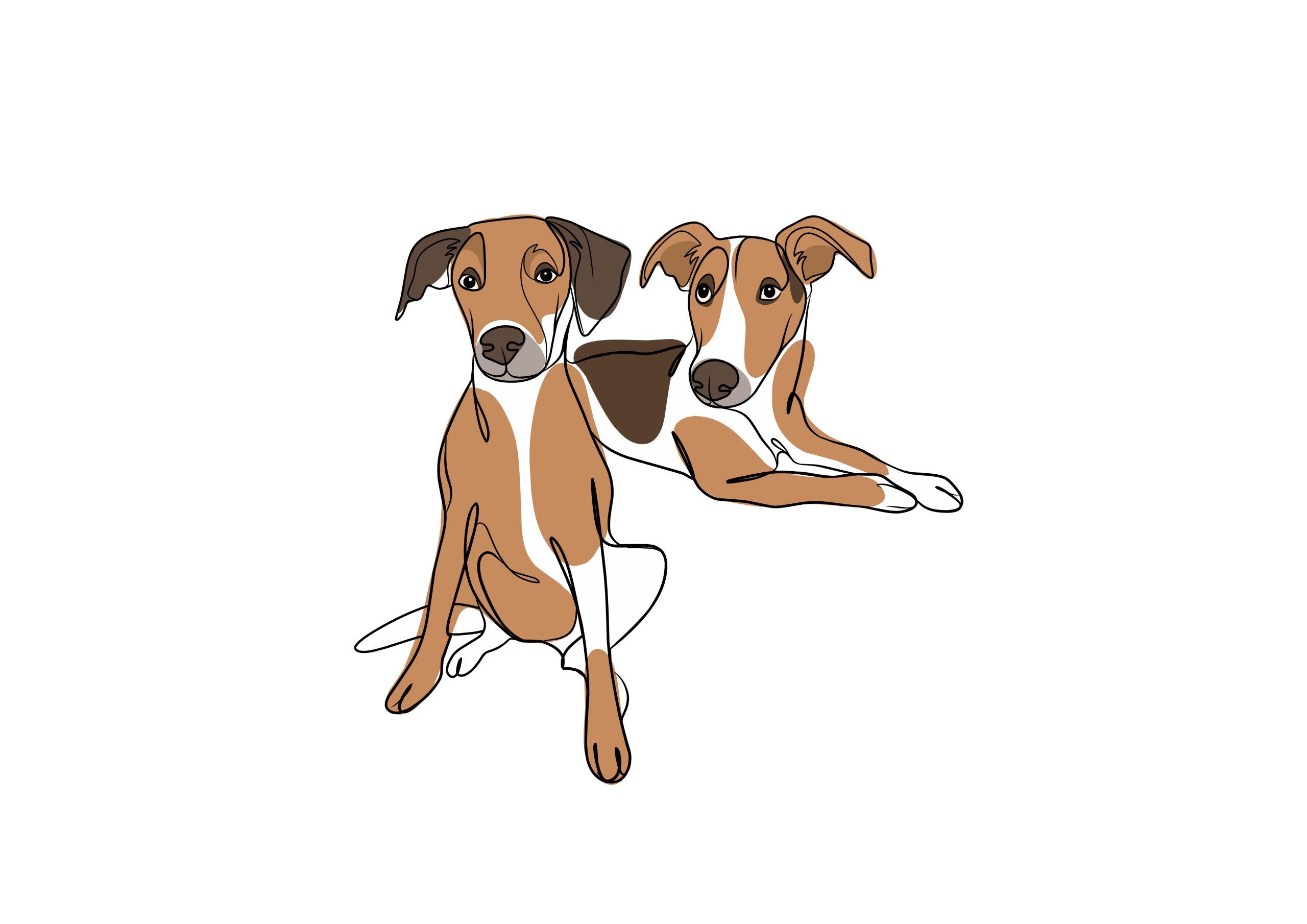 Colour Line Drawing - Image 4