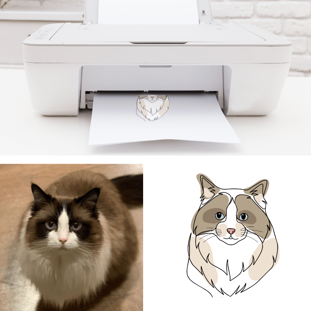 Colour Line Drawing - Image 16